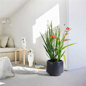 English Elm 3 Pieces Ceramic Flowerpot Set - Handcrafted Antique Gray Planters For Gardens, Patios & Windowsills W3273P321502