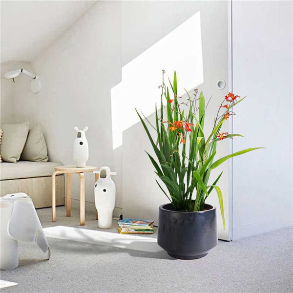 English Elm 3 Pieces Ceramic Flowerpot Set - Handcrafted Antique Gray Planters For Gardens, Patios & Windowsills W3273P321502