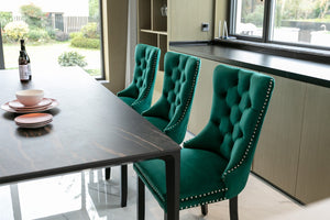 English Elm Nikki Velvet Wingback Dining Chair Set Tufted Brass Nailhead Solid Wood Legs Green W114381111