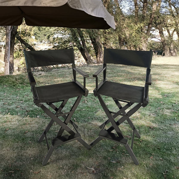 English Elm Casual Populus Director's Chair Set (2) Black Canvas Folding Solid Wood Frame, Breathable, 176lbs Capacity W49532121