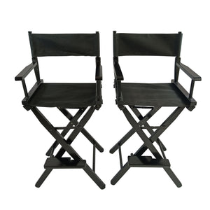 English Elm Casual Populus Director's Chair Set (2) Black Canvas Folding Solid Wood Frame, Breathable, 176lbs Capacity W49532121