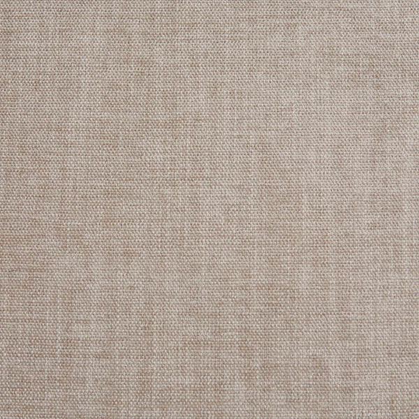 English Elm Cane Diedra Armchair with Espresso Cane Back & Tan Foam Cushion — Farmhouse Accent Chair, 300lb Capacity B03548572