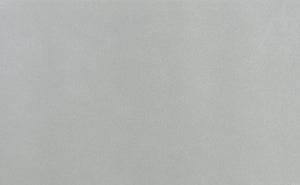 English Elm Modern Mirrored Chest of Drawers Silver Finish Embossed Bead-Molding Fronts Glamorous Storage 54"H B01152307