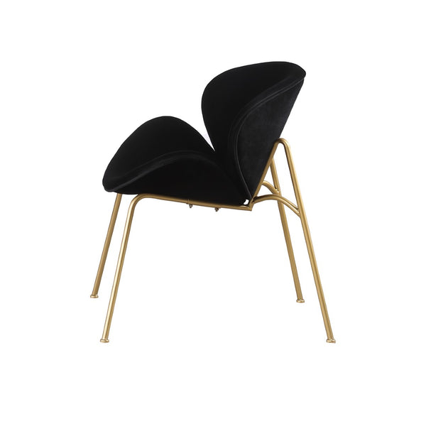 English Elm {2 Pack} Velvet Bucket Lounge Chairs Ergonomic Curved Seat Tapered Metal Legs Vanity Office Black W124152698