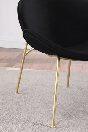 English Elm {2 Pack} Velvet Bucket Lounge Chairs Ergonomic Curved Seat Tapered Metal Legs Vanity Office Black W124152698
