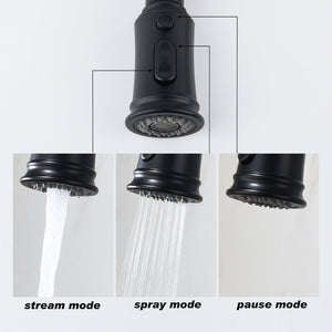 English Elm Kitchen High Arc Pull Out Faucet with 360 Degree Swivel Single Handle Sprayer W127263122