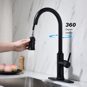 English Elm Kitchen High Arc Pull Out Faucet with 360 Degree Swivel Single Handle Sprayer W127263122