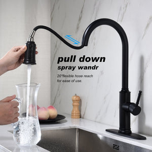 English Elm Kitchen High Arc Pull Out Faucet with 360 Degree Swivel Single Handle Sprayer W127263122