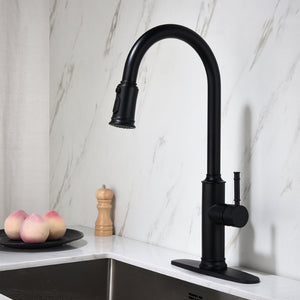 English Elm Kitchen High Arc Pull Out Faucet with 360 Degree Swivel Single Handle Sprayer W127263122