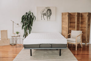 English Elm Omne Sleep Gel Memory Foam Mattress with Cooling Layers for Pressure Relief Support B04758747
