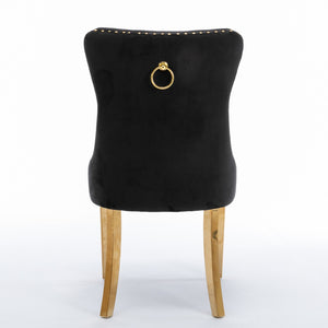 English Elm A&a Tufted Velvet Dining Chair with Nailhead Trim and Gold Polished Steel Legs W1143P452843