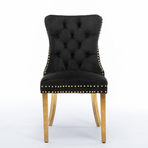 English Elm A&a Tufted Velvet Dining Chair with Nailhead Trim and Gold Polished Steel Legs W1143P452843