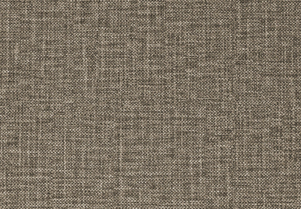 English Elm Modern Bonne Tufted Chaise with Nailhead Trim and Rolled Bolster Pillow, Espresso Turned Legs, Plush Comfort Brown 53 L x 21.75 W x 31 H B01165808