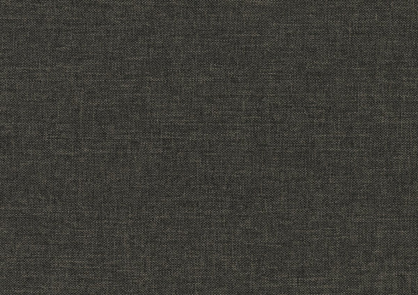 English Elm Gray Fabric Daybed with Pull-Out Trundle, Nailhead Trim & Wood Frame — Twin Sleep Space, Modern Upholstered Design B011S00248