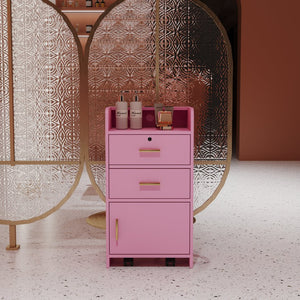 English Elm Locking Salon Beauty Cabinet with 2 Drawers & 1 Lockable Cupboard, Hair Dryer Holes, Durable Finish W33163017