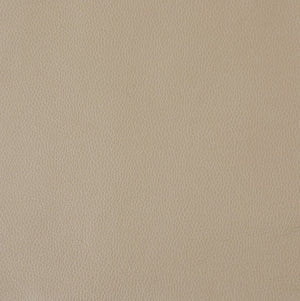 English Elm Top Grain Italian Leather Sofa with Chrome Legs for Modern Living Rooms Beige B05777906