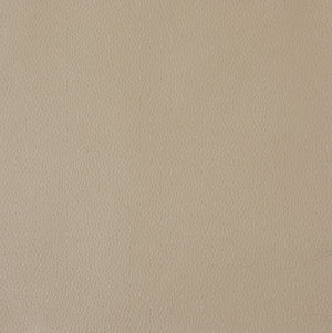 English Elm Top Grain Italian Leather Loveseat with High-Density Foam Comfort, Stainless Steel Legs, Solid Wood Frame Beige B05777905