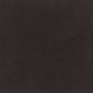 English Elm Global United Leather-Air Reclining Sofa Brown Leather Stainless Steel Base Lumbar Support Plush Foam Padding 48x40x68 Inches Recliner Comfort B05777965