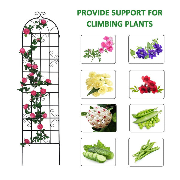 English Elm 4 Pack Tall Galvanized Steel Garden Trellises Powder Coated Black for Climbing Vines W158681059