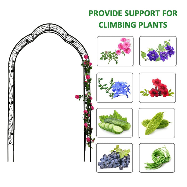 English Elm Metal Gothic Arch Garden Arbor Powder Coated Steel Trellis for Climbing Roses Black W158681100