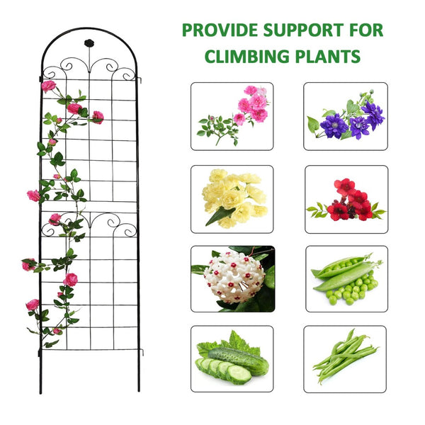 English Elm 4 Pack Tall Galvanized Steel Garden Trellises Powder Coated Black for Climbing Vines W158681065
