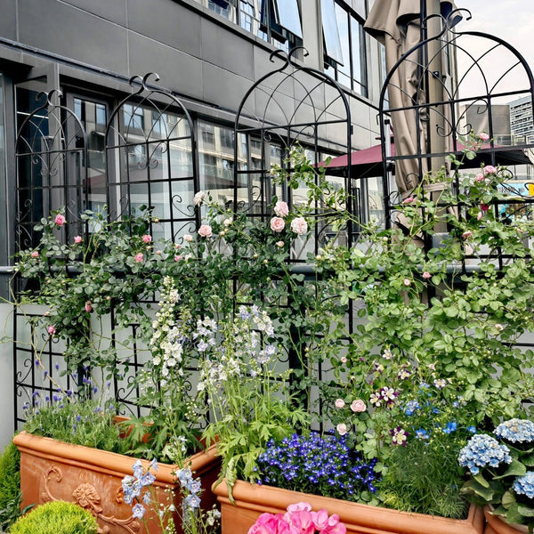 English Elm 4 Pack Galvanized Steel Garden Trellises Powder Coated Matte Black Climbing Plant Supports W158681061
