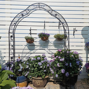 English Elm Metal Gothic Arch Garden Arbor Powder Coated Steel Trellis for Climbing Roses Black W158681100