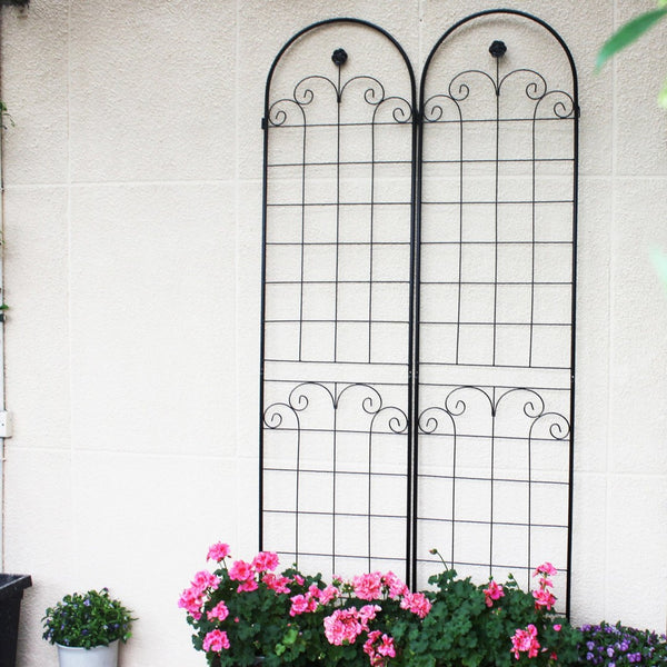English Elm 4 Pack Tall Galvanized Steel Garden Trellises Powder Coated Black for Climbing Vines W158681065