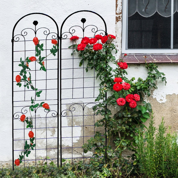 English Elm 4 Pack Tall Galvanized Steel Garden Trellises Powder Coated Black for Climbing Vines W158681065