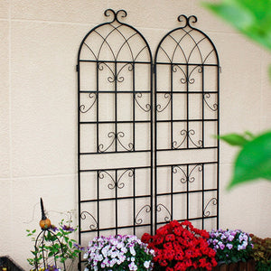 English Elm 4 Pack Galvanized Steel Garden Trellises Powder Coated Matte Black Climbing Plant Supports W158681061