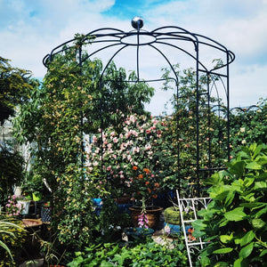 English Elm Metal Birdcage Garden Arch Powder Coated Steel Pergola for Outdoor Ceremonies W158681123