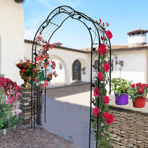 English Elm Metal Gothic Arch Garden Arbor Powder Coated Steel Trellis for Climbing Roses Black W158681100
