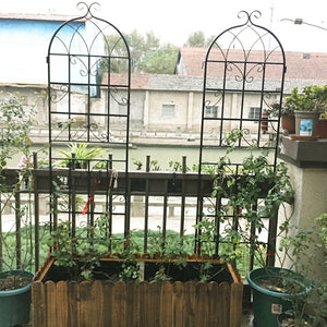 English Elm 4 Pack Galvanized Steel Garden Trellises Powder Coated Matte Black Climbing Plant Supports W158681061