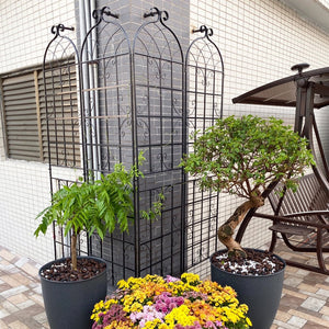 English Elm 4 Pack Tall Galvanized Steel Garden Trellises Powder Coated Black for Climbing Vines W158681059