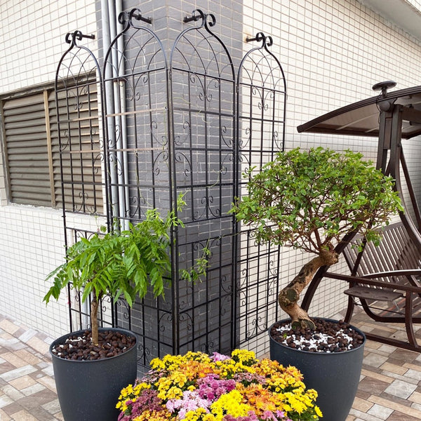 English Elm 4 Pack Tall Galvanized Steel Garden Trellises Powder Coated Black for Climbing Vines W158681059