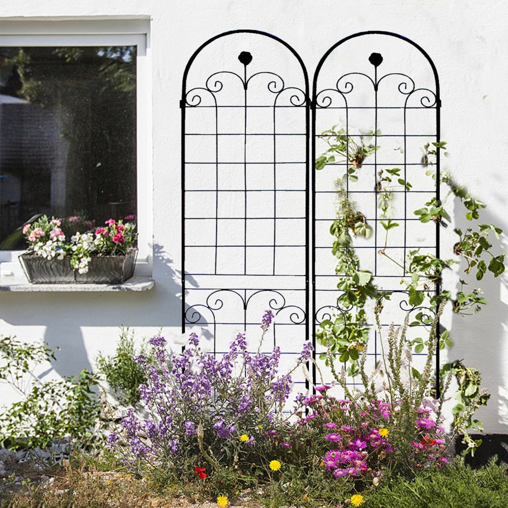 English Elm 4 Pack Tall Galvanized Steel Garden Trellises Powder Coated Black for Climbing Vines W158681065