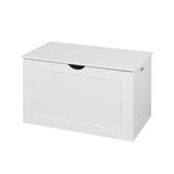 Lift Top Storage Cabinet with 2 Safety Hinge, White