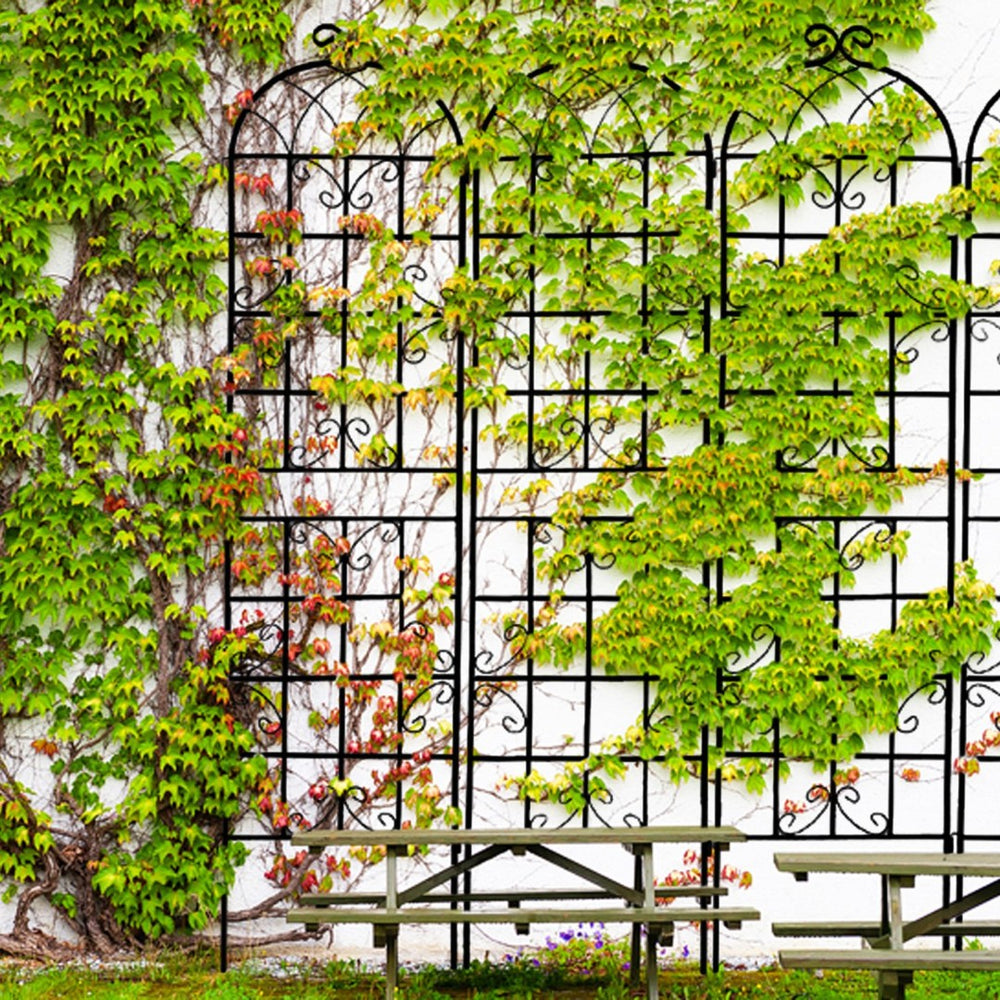 English Elm 4 Pack Tall Galvanized Steel Garden Trellises Powder Coated Black for Climbing Vines W158681059