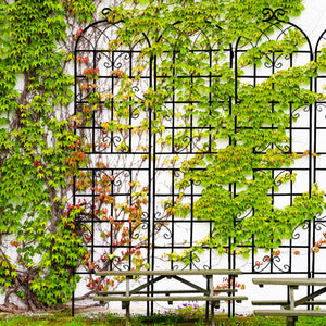 English Elm 4 Pack Tall Galvanized Steel Garden Trellises Powder Coated Black for Climbing Vines W158681059