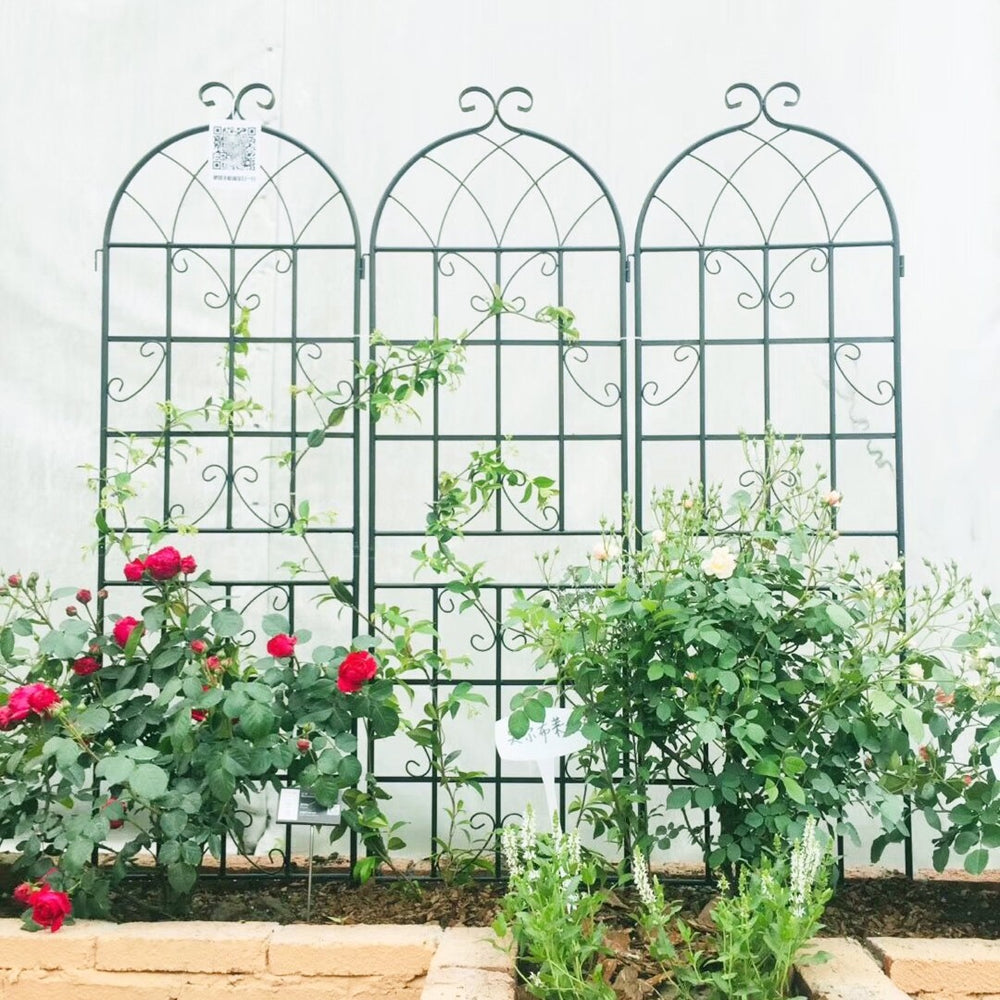 English Elm 4 Pack Galvanized Steel Garden Trellises Powder Coated Matte Black Climbing Plant Supports W158681061