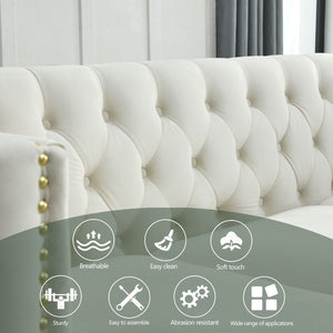 English Elm {contact Us for 3d Modeling} Tufted Velvet Sofa with Nailhead Trim and Sleek Metal Legs W834S00608
