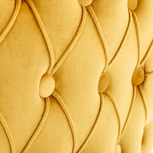 English Elm A&A Velvet Tufted Dining Chair with Nailhead Trim and Stainless Steel Plated Legs for Luxe Seating Gold W114366435