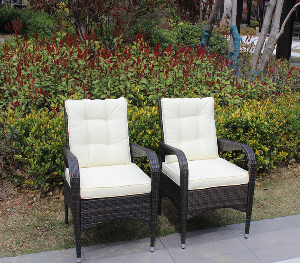 English Elm 2-Piece Liberatore Dining Chairs with Beige Cushions, Weather-Resistant PE Rattan Seats, 300lb Capacity W20967120