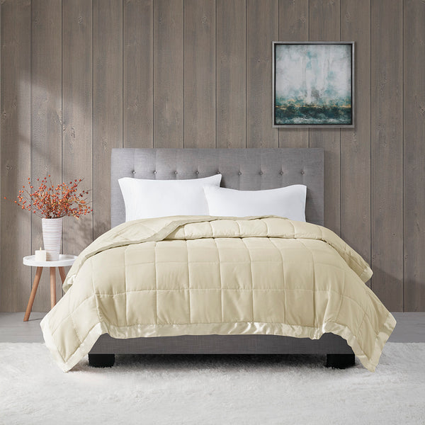 English Elm Lightweight Down Alternative Blanket Twin Cream with Satin Trim, Moisture-Wick, Hypoallergenic Comfort B035129270