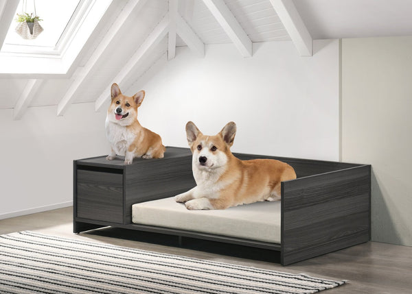 English Elm Esme Modern Pet Bed with Built-in Storage Ash Gray Laminate Low Profile Frame B061110706