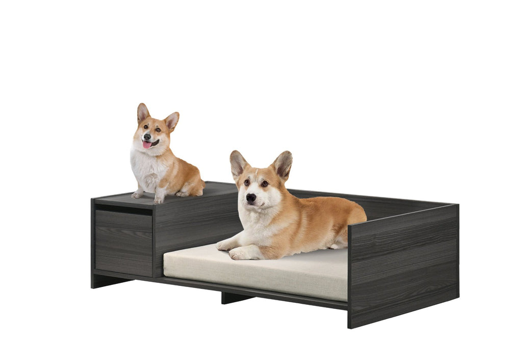 English Elm Esme Modern Pet Bed with Built-in Storage Ash Gray Laminate Low Profile Frame B061110706
