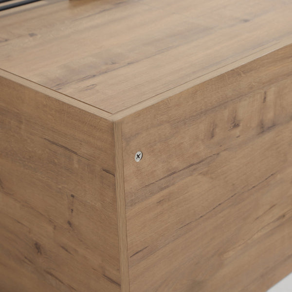English Elm 24 Dual-Purpose 24" Bathroom Vanity Cabinet with Soft-Close Doors, Adjustable Shelf, Floor or Wall Mount W999104319