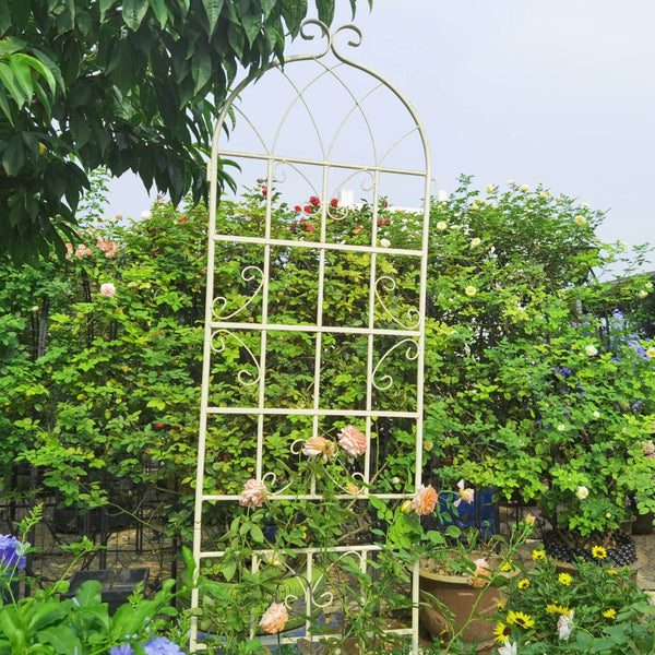 English Elm 4 Pack Tall Steel Garden Trellis Panels Powder Coated Rustproof Climbing Plant Support W1586134247