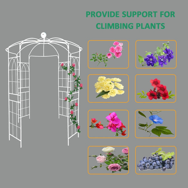 English Elm Metal Birdcage Pavilion Arch Powder Coated Steel Garden Gazebo for Outdoor Ceremonies W1586104488