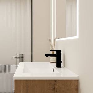 English Elm 24 24 Inch Bathroom Vanity with Ceramic Sink, Freestanding or Wall-Mount, Soft-Close Doors, Storage W999S00076